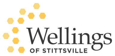 cropped-logo-2.png