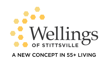 cropped-logo-2.png